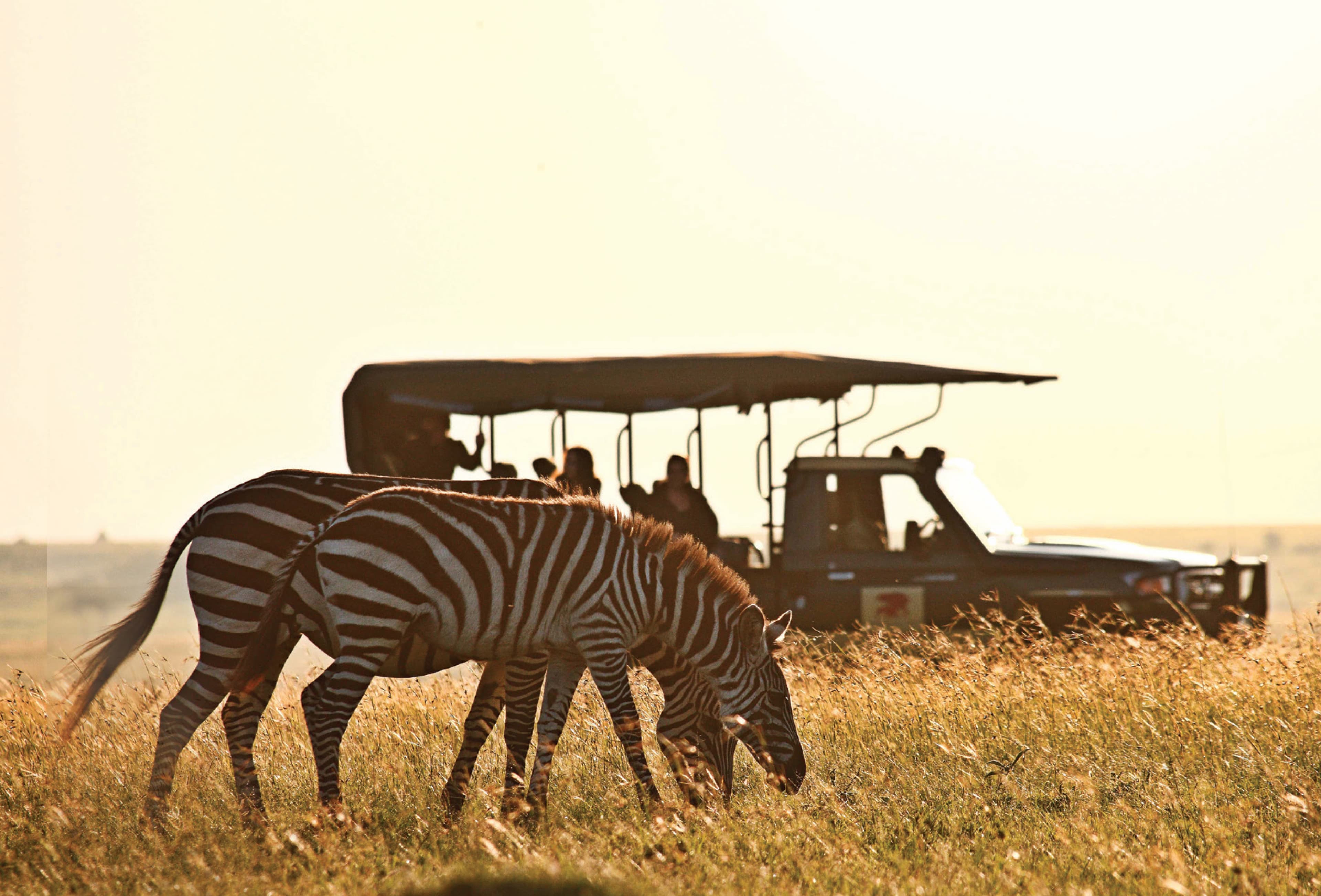 Taita Taveta landscape